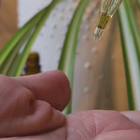 Organic Radiance Serum – Pure, Small-Batch, Organic Facial Oil for All Skin Types