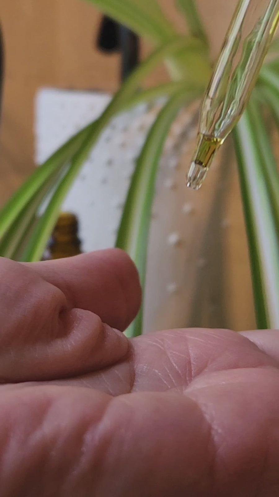 Organic Radiance Serum – Pure, Small-Batch, Organic Facial Oil for All Skin Types