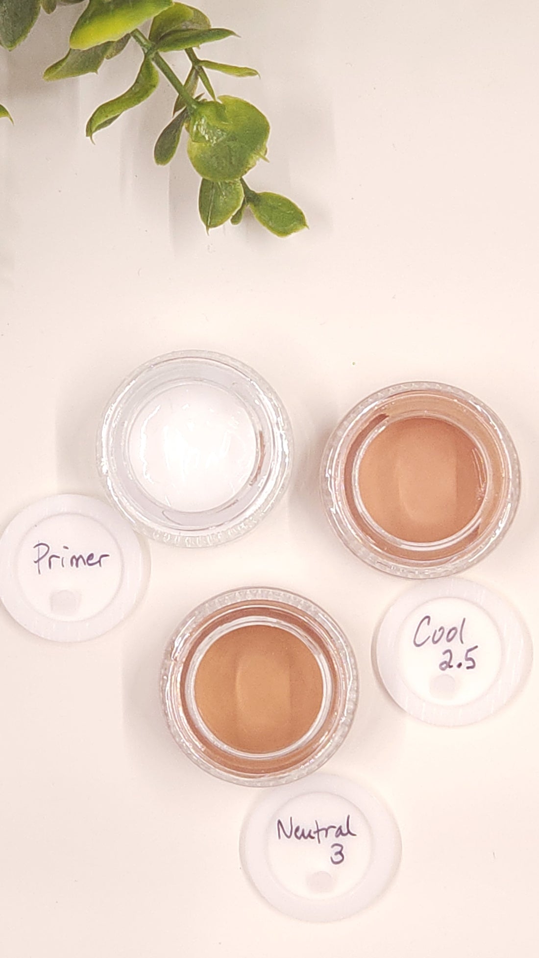 Samples of Primer & Foundation