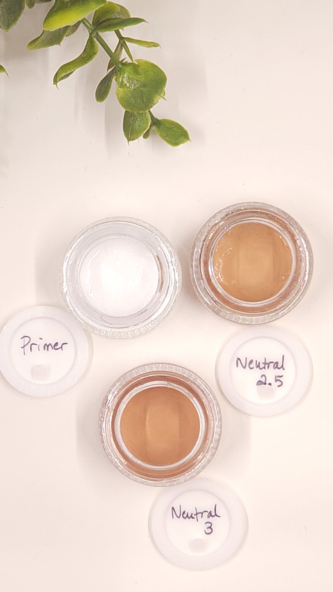 Samples of Primer & Foundation