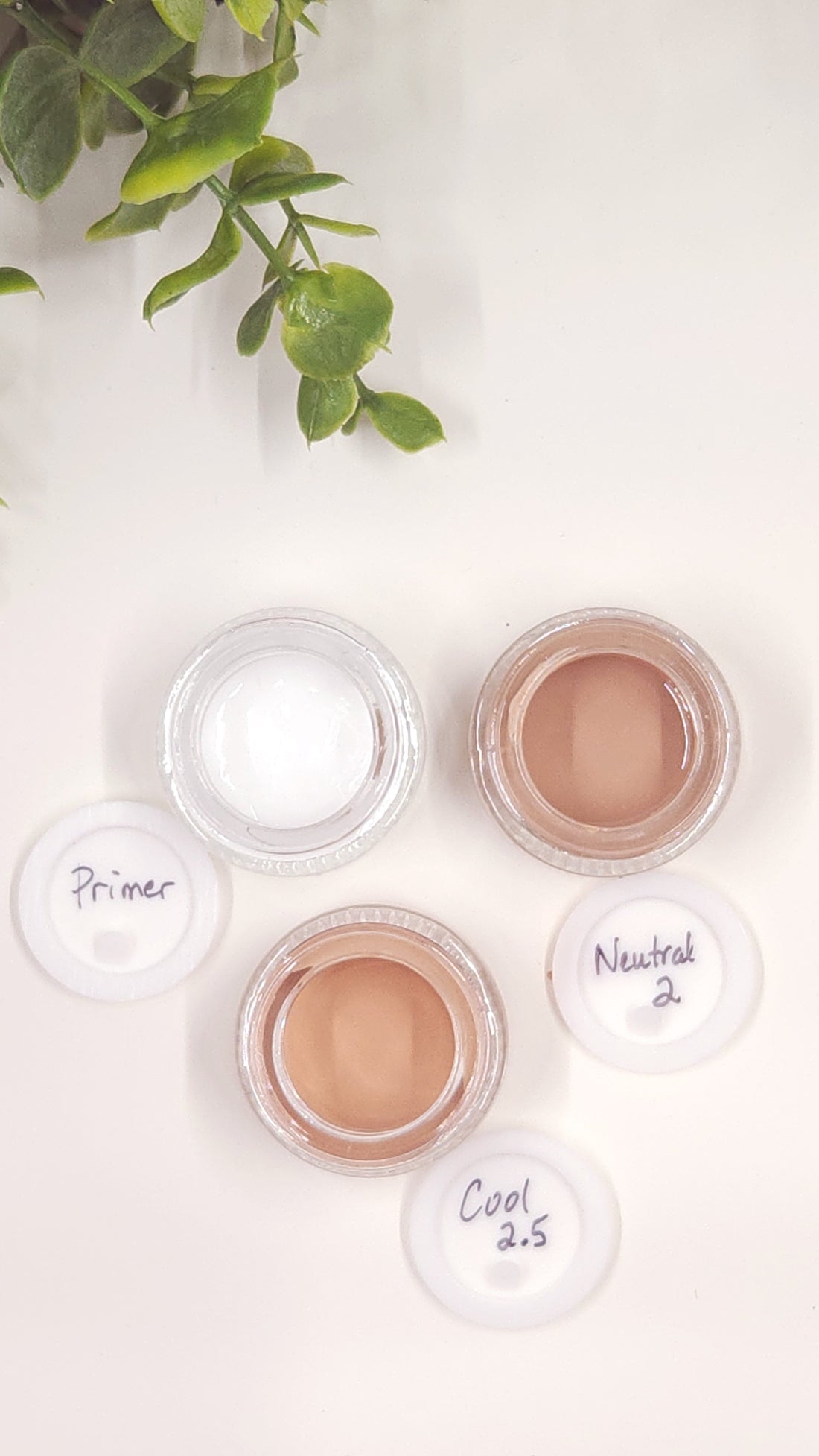 Samples of Primer & Foundation