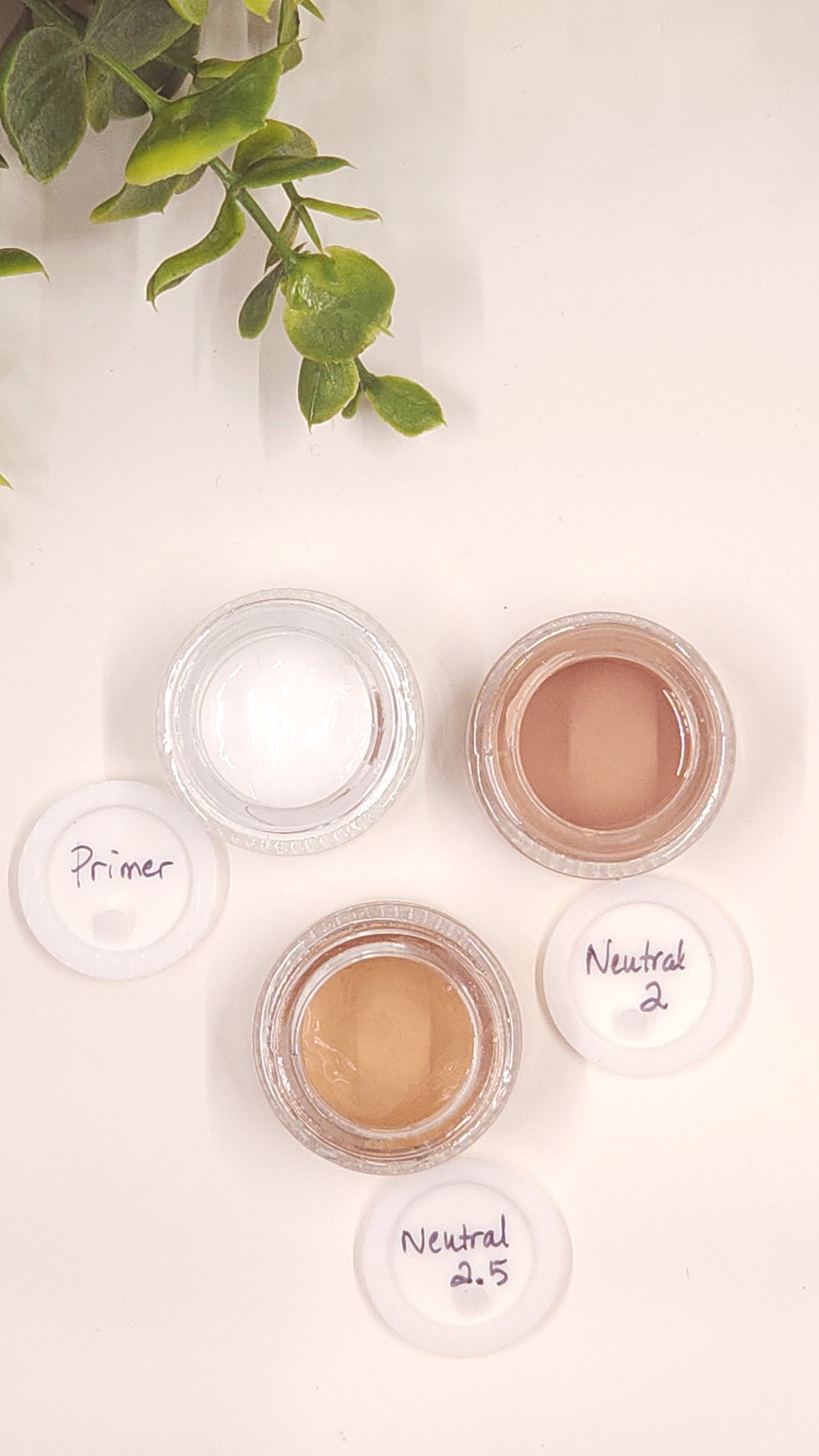 Samples of Primer & Foundation