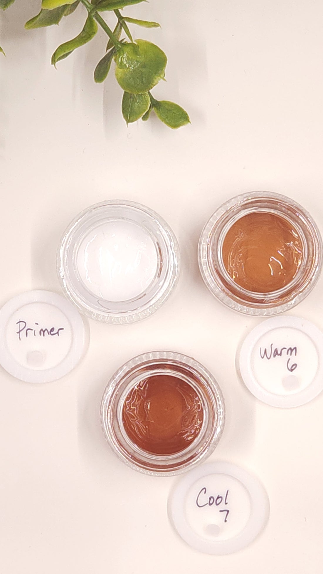 Samples of Primer & Foundation